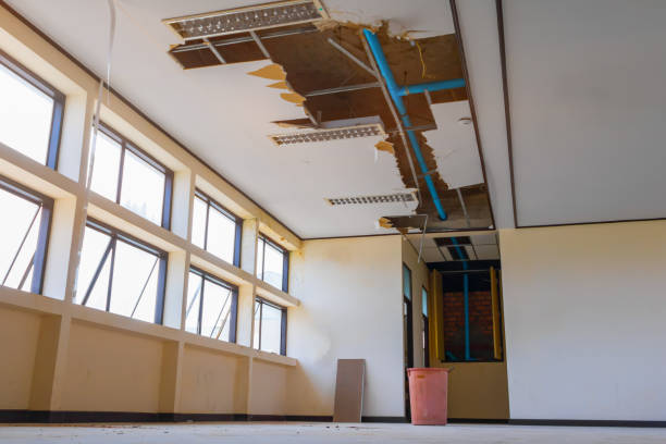 Best Basement water damage restoration  in Laguna Woods, CA