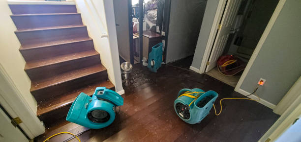 Best Local water damage restoration  in Laguna Woods, CA