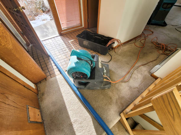 Best Water damage restoration insurance claims  in Laguna Woods, CA