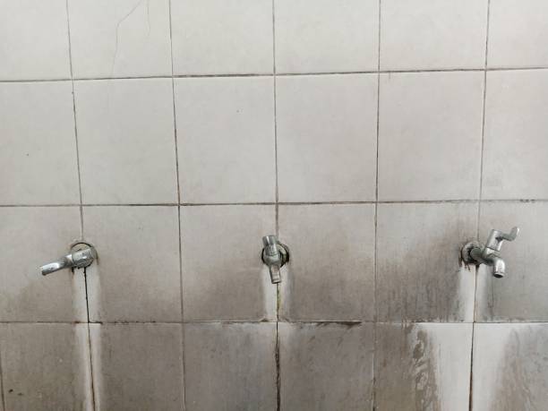 Best 24-hour water damage restoration  in Laguna Woods, CA