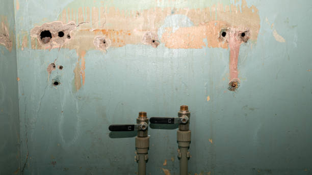 Best Commercial water damage restoration  in Laguna Woods, CA