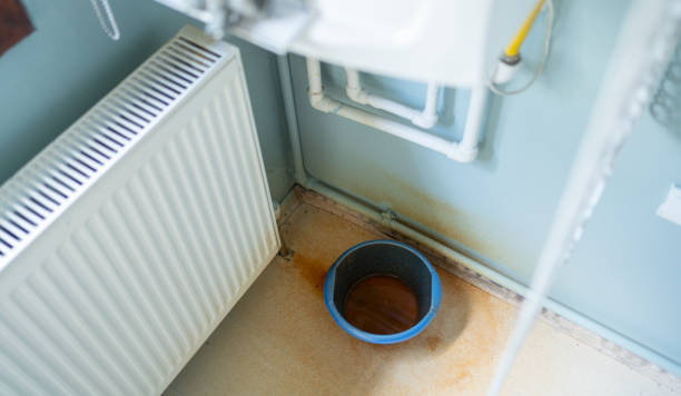 Best Flooded house restoration  in Laguna Woods, CA