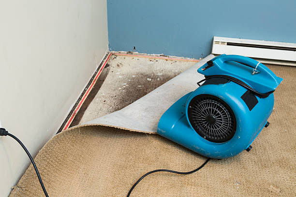 Reliable Laguna Woods, CA Water damage restoration Solutions